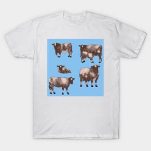 Shorthorn Cattle Pattern Blue T-Shirt